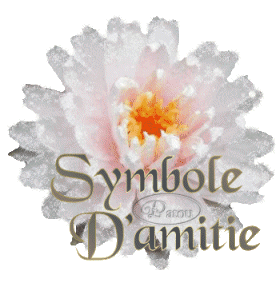 quelle fleur symbolise amitie
